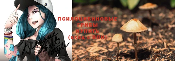 ПСИЛОЦИБИНОВЫЕ ГРИБЫ Балахна