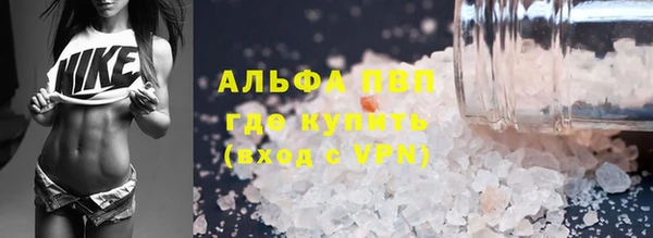 ПСИЛОЦИБИНОВЫЕ ГРИБЫ Балахна